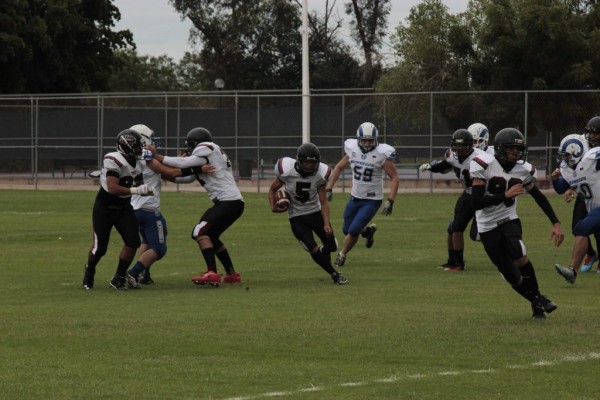 Serán Tiburones de Sinaloa parte de la historia