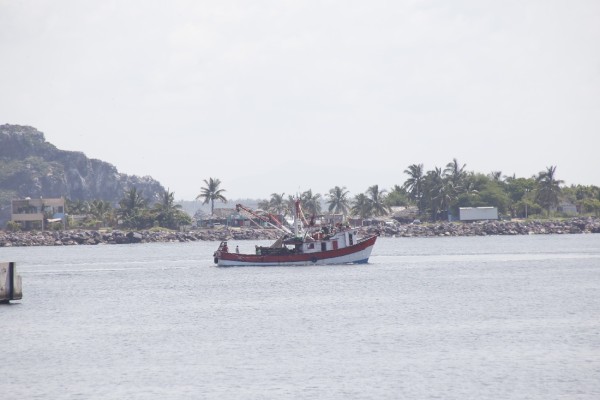 En Mazatlán, se incrementa salida de barcos camaroneros vía lastre