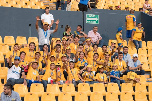 Tigres pone manos a la obra contra grito en los estadios