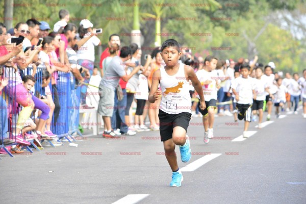 Los participantes contenderán por alguno de los premios.