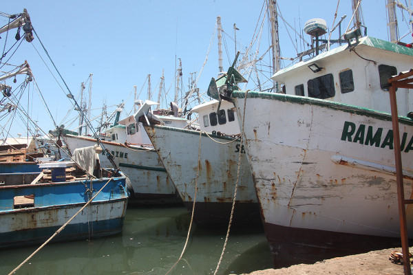 De nuevo, la flota pesquera en Mazatlán solo bajo el resguardo de la Virgen de La Puntilla