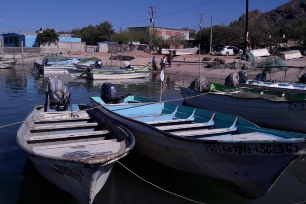 Piden pescadores retomar propuesta de adoptar vedas alternativas