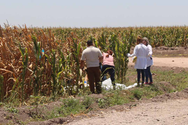 Profesionistas, los nuevos rehenes del crimen