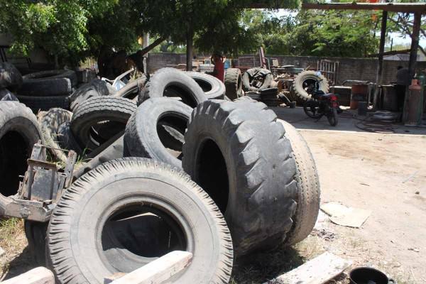 Confirman 7 casos de dengue en Mazatlán; urgen a eliminar cacharros y posibles criaderos del mosco