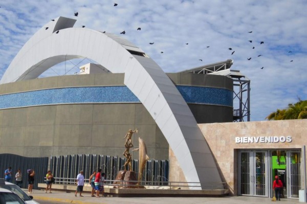 De las denuncias que la ASE ha recibido de 2017 a 2019, solo el caso del tiburonario ha sido judicializado.