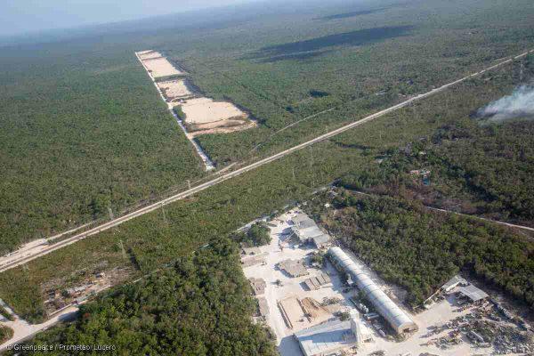 $!Activistas escalan la Estela de Luz para denunciar devastación de la Selva Maya; exigen a Semarnat su intervención