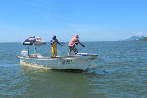 Pescadores denuncian que veladores, maquiladoras, y otros ajenos a Bienpesca, se cuelan al programa