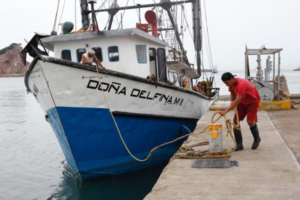 Armadores llaman a la flota pesquera a refugiarse, ante amenaza de Willa