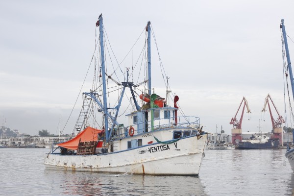 Presentarán reforma para declarar oficialmente a la pesca parte del sector primario