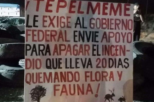 $!Fuego consume Reserva de Biósfera Tehuacán-Cuicatlán, Oaxaca; habitantes exigen acciones para controlarlo