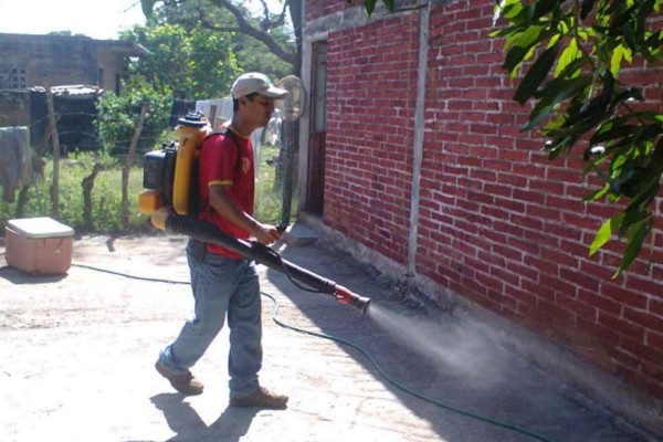 De crimen de joven en Mazatlán, de los casos de dengue en Sinaloa y de la Copa Oro, las noticias esta mañana