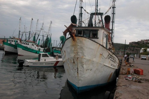 Incierto, el futuro de la pesca, señala Ricardo Michel