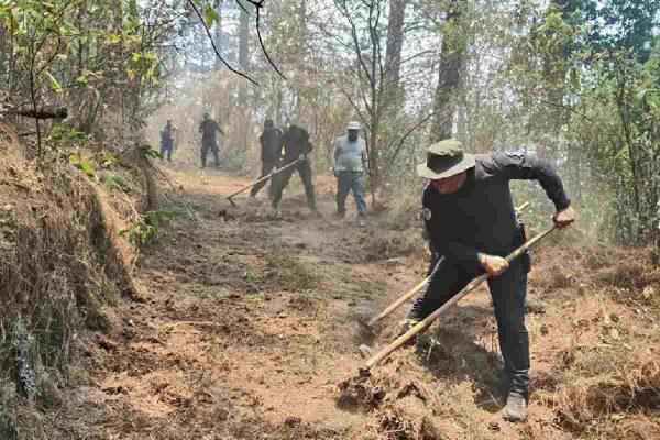 $!Incendio en Senguio, Michoacán, afecta a santuario de la mariposa monarca; controlan fuego en un 50%