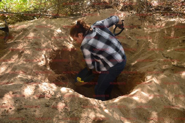 En los últimos dos años se han rescatado 46 cuerpos en fosas de Mazatlán