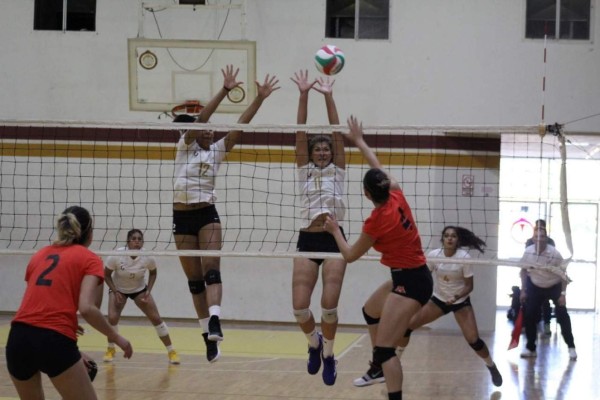 Águilas UAS vence en tres sets a la Universidad Anáhuac de Querétaro en el voleibol de sala.