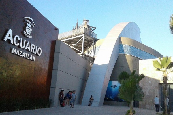 Defensa de acusados por caso Tiburonario, piden dos meses de prórroga para investigar