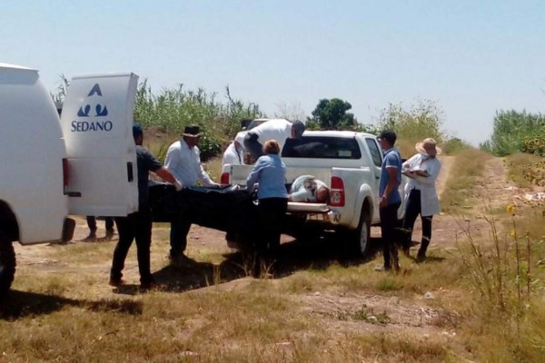 Encuentran a hombre muerto a balazos en caja de camioneta, en Mocorito