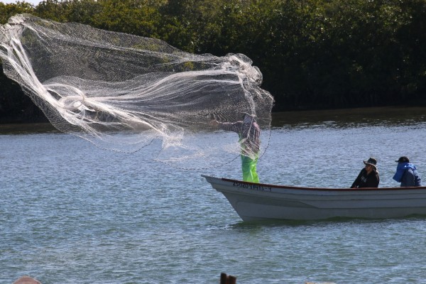 Pesca ilegal es el problema número uno en todo el país: Sergio Torres