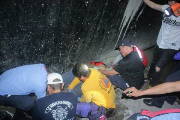 Cae hombre del segundo nivel del Estadio Emilio Ibarra Almada en Los Mochis