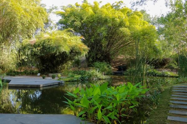 Reportan que interpusieron denuncia en contra de un guardia del Jardín Botánico de Culiacán, por abuso sexual