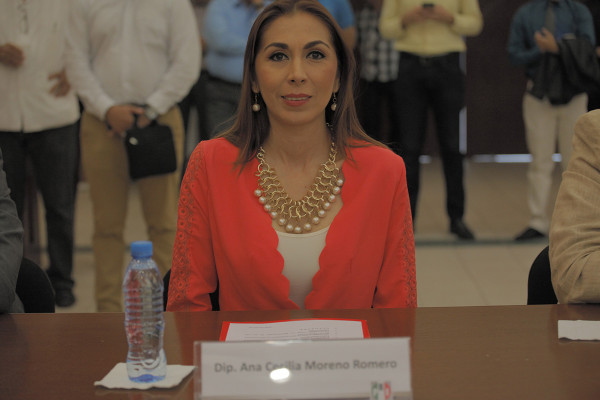 Ana Cecilia ganó distrito seis; sumas en actas están mal, pide PRI se corrijan