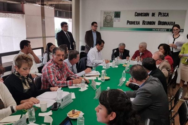 Analiza Comisión de Pesca en el Congreso federal iniciativa de García Hernández