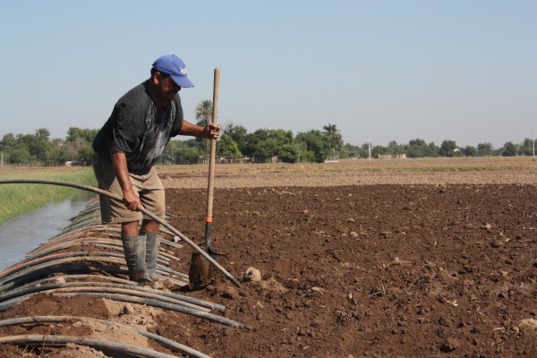 El compromiso es con agricultores del sector social: Zamora Valdez
