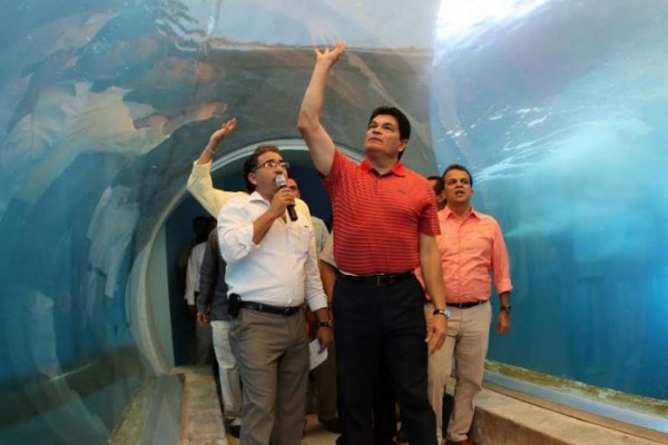 ¿Quiénes son los peces gordos del Tiburonario? Esta es la cadena de implicados en el colapso de la obra del acuario