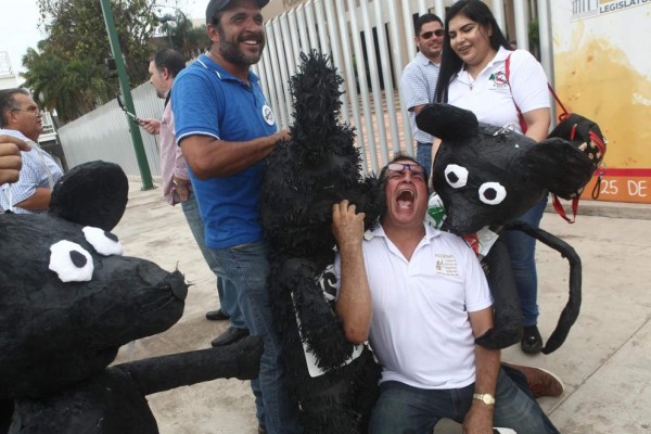 Los sinaloenses ‘arrinconaron’ a sus diputados