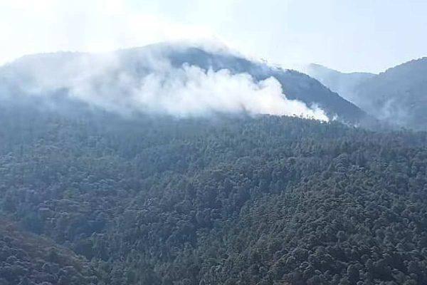 $!Incendio en Senguio, Michoacán, afecta a santuario de la mariposa monarca; controlan fuego en un 50%