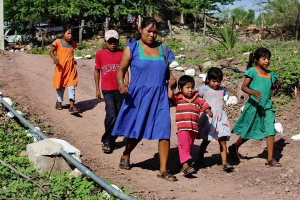 Población indígena ha sido abandonada durante la pandemia: activista