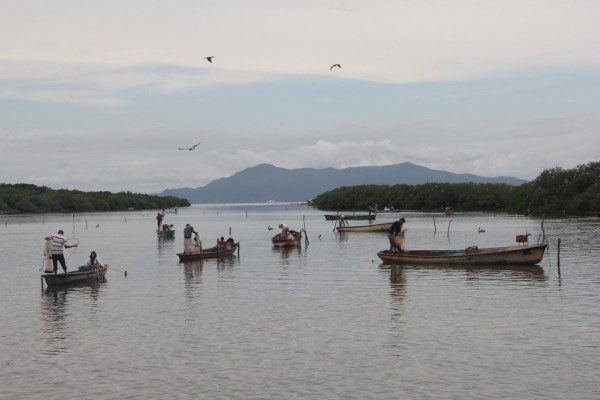 El 'changuerismo' en el sur está desatado, previo al fin de la veda: Líderes pesqueros