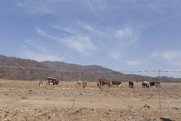 El 83.2% del territorio de México sufre sequía, alertan