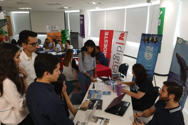 Alumnos de Universidad Tecmilenio buscan experiencia laboral