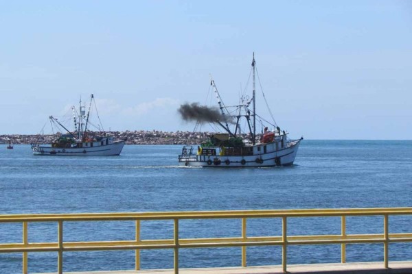 Armadores piden que 'Gobernadores costeros' lideren lucha por diésel marino