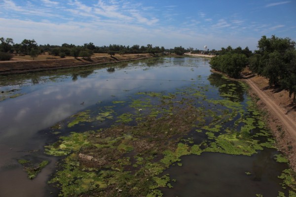 Aplazan fallo para limpieza del río Sinaloa y arroyo Corerepa