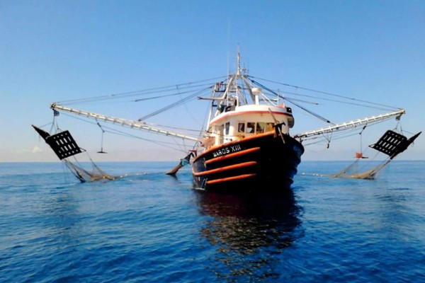 Pesca mexicana compite en condiciones desiguales: Canainpesca