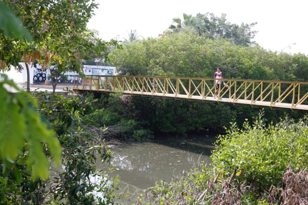 Derrame de aguas negras provoca contaminación de Arroyo Jabalines y Estero del Infiernillo