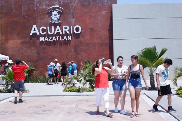 Revés al Acuario Mazatlán; Juez le ordena cobrar sólo $33.23 por persona