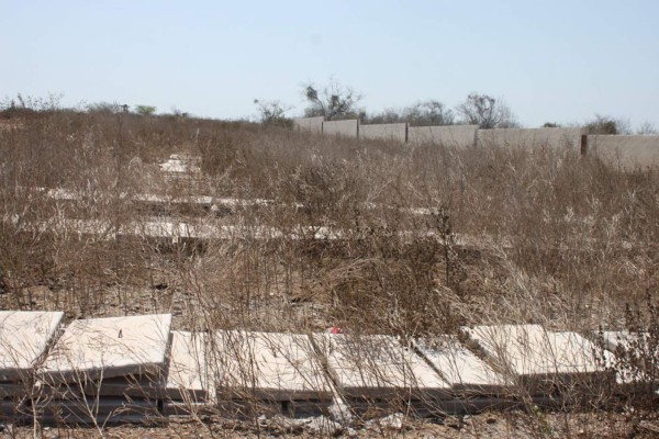 Las gavetas están cubiertas por la maleza en el nuevo panteón municipal de Elota.