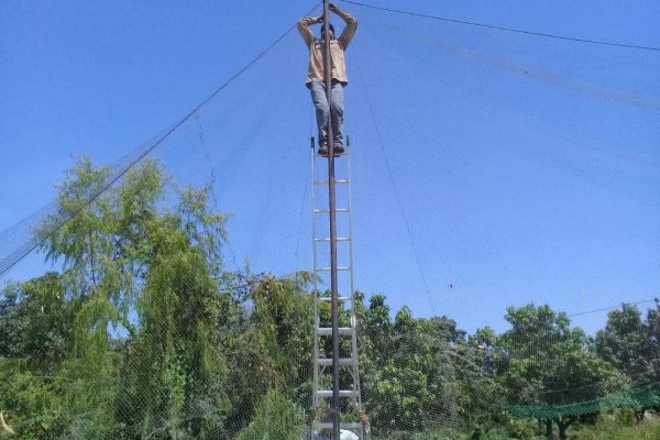 Avanzan trabajos para colocar malla de contención del campo de beisbol de la Unidad Deportiva Cuchupetas