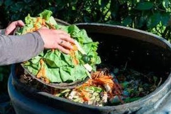 Desperdiciadas, 20 millones de toneladas de alimentos al año en México