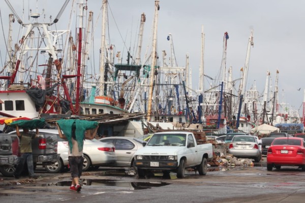 Capitanía Regional de Puerto de Mazatlán inicia entrega de despachos vía la pesca
