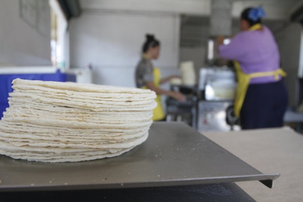 Tortilleros de Mazatlán prometen mantener el precio de la tortilla