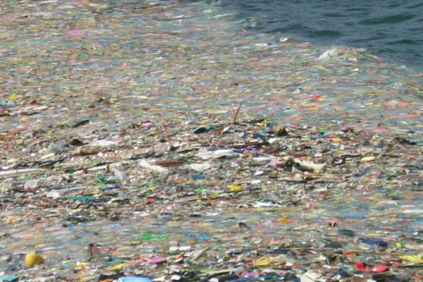 En Océano Pacífico existe 'isla de plástico' con 100 millones de toneladas de basura: científico sinaloense