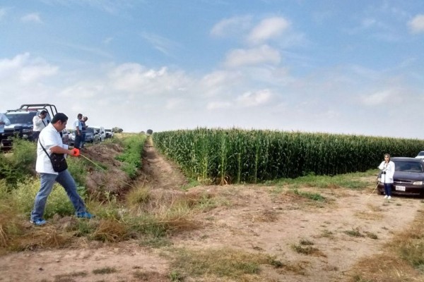 En 7 meses, Sinaloa supera su propia cifra de mujeres desaparecidas en 2017