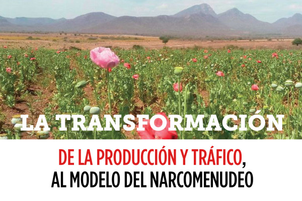La transformación: de la producción y tráfico, al modelo del narcomenudeo
