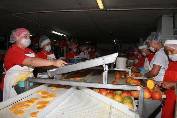 ¿Cuál es el papel de la mujer en la vida económica de Sinaloa?