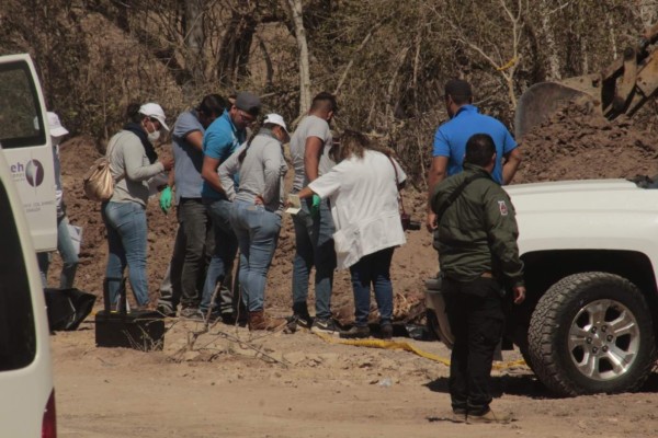 En Mazatlan, localizan cinco cuerpos más en fosas clandestinas en Miravalles