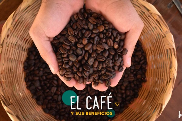 5 razones por las que amarás más el café